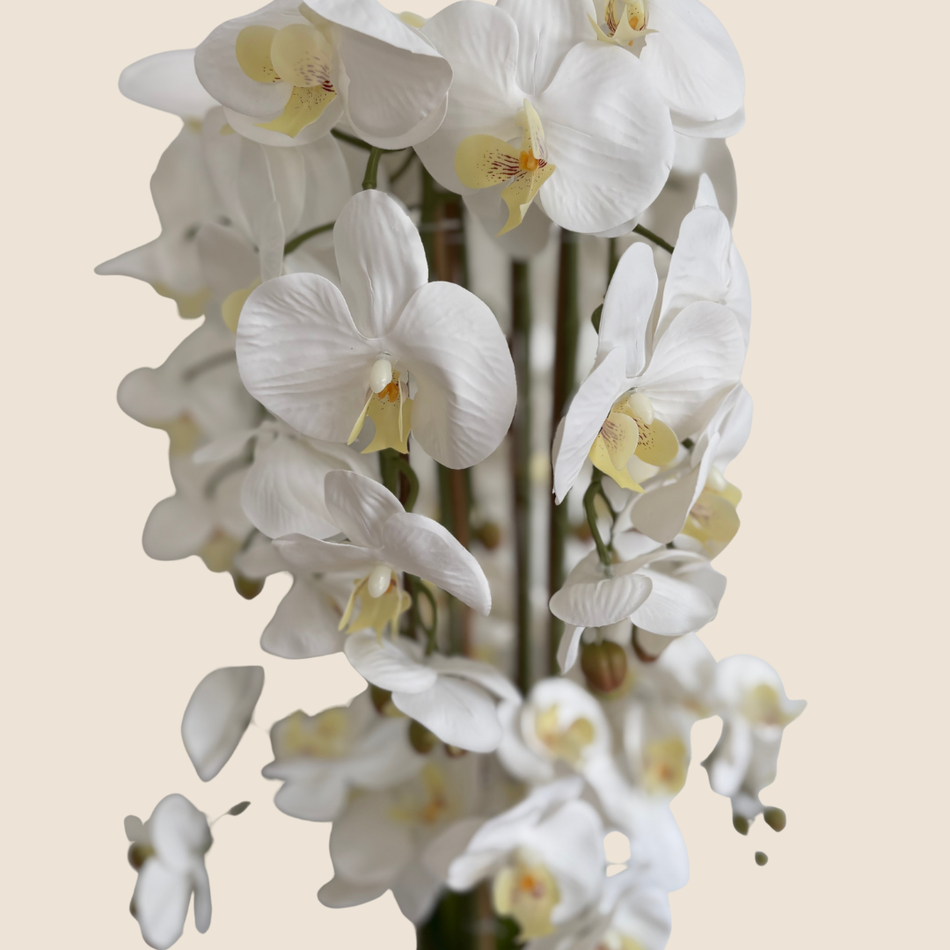Artificial White Orchid Arrangement 95cm