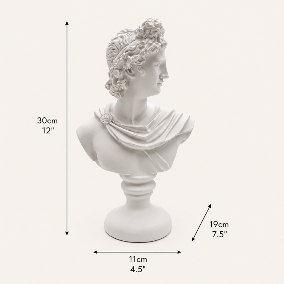 White Apollo Bust 30cm – Greek God Statue