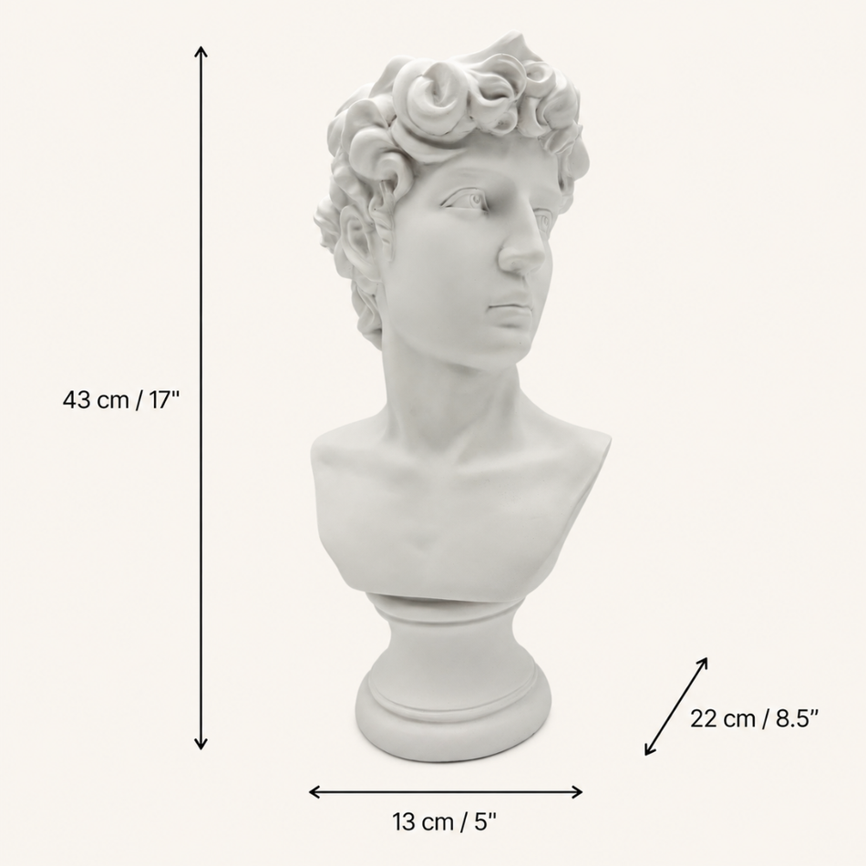 White David Bust 43cm – Michelangelo Statue