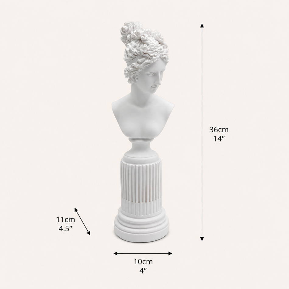 White Venus Bust 36cm – Roman Goddess Statue